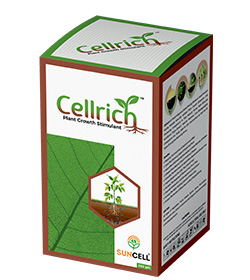 CELLRICH
