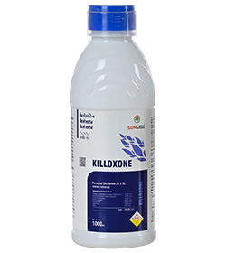 KILLOXONE