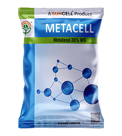 METACELL