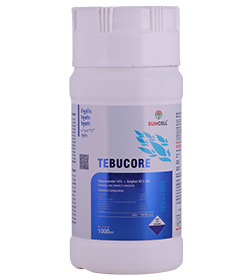 TEBUCORE